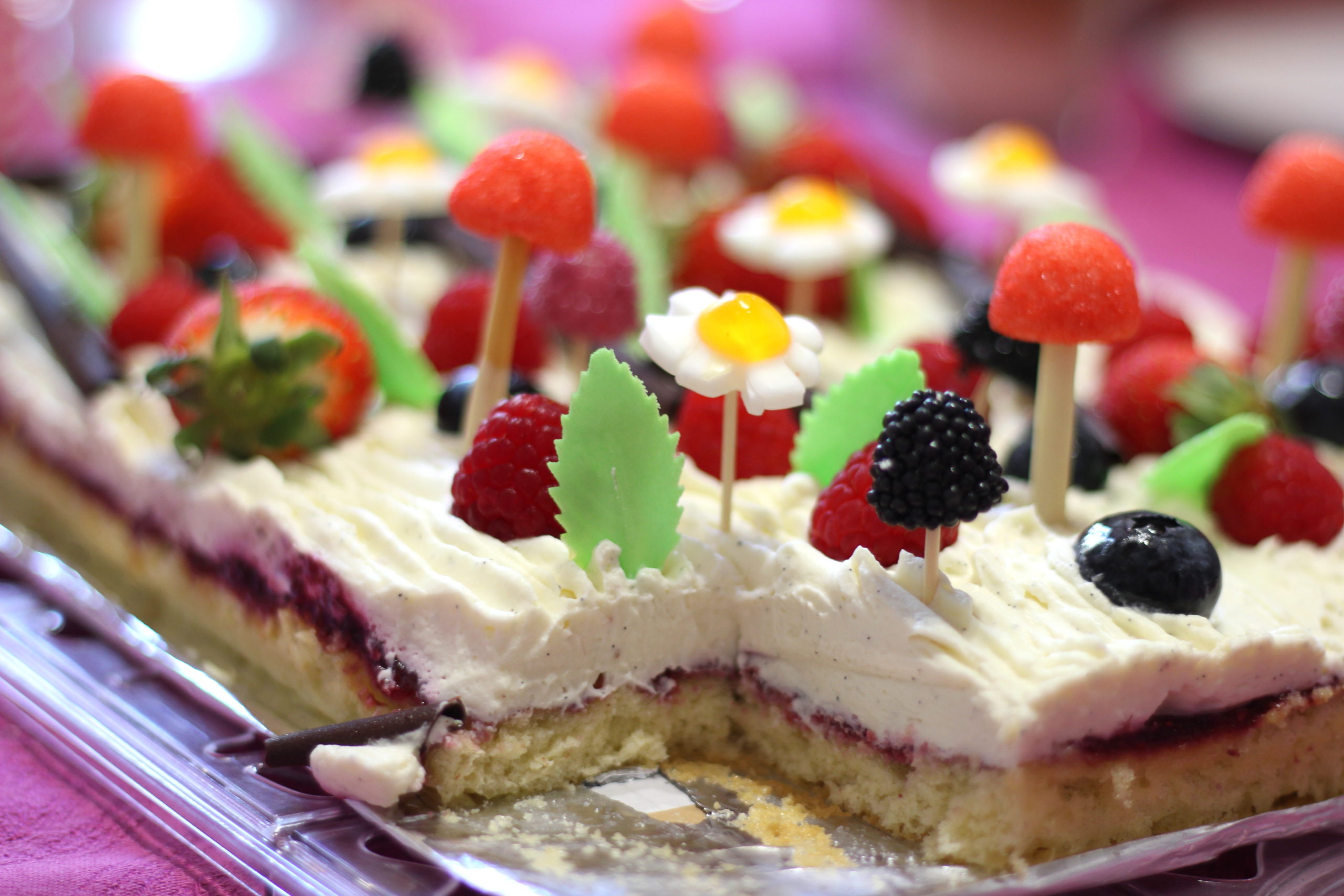 Gâteau de demi-anniversaire vanille framboise : Il était une fois